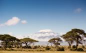 Ambiseli National Park, Kenya